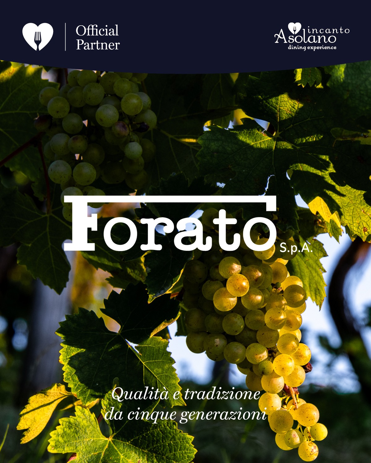 Partner ristorante 6